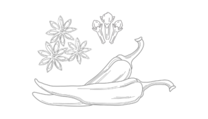 Spice Vector
